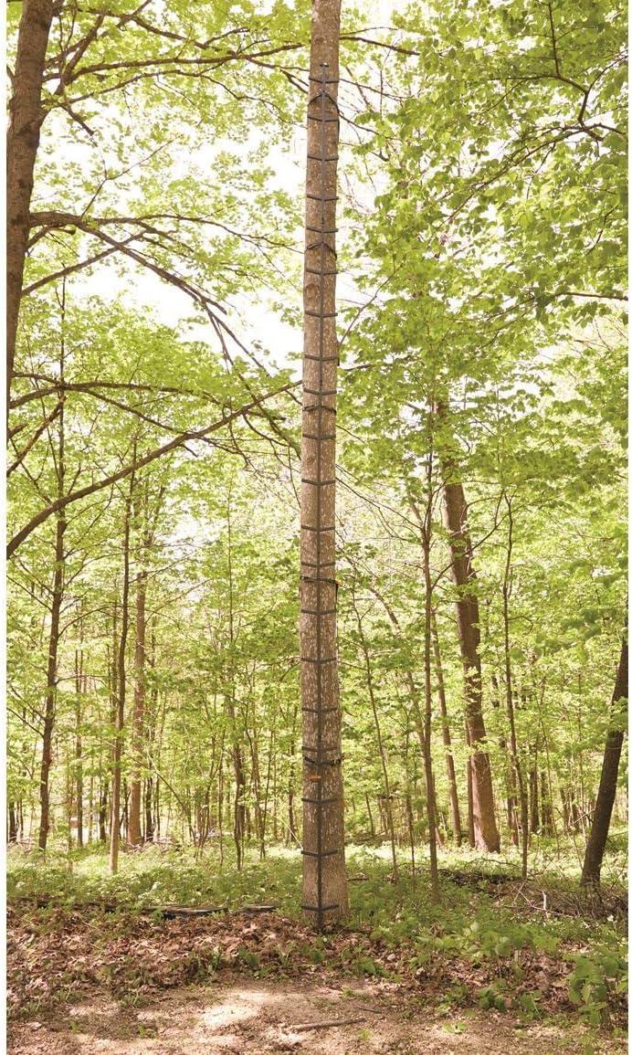Our 25' Guide Gear Climbing stick: Steady, Portable