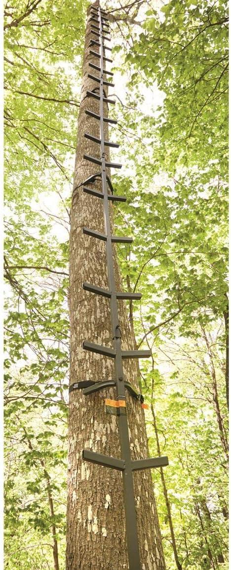 Our 25' Guide‌ Gear Climbing Stick: Steady, Portable